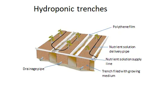Trench or Trough Technique
