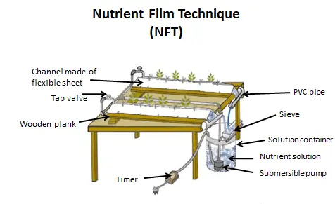 Nutrient Film Technique (NFT)
