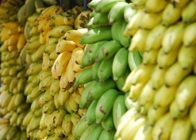 Pest and disease of banana
