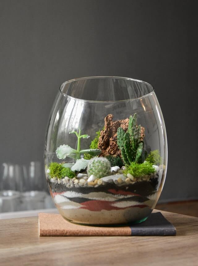 How to Make a Terrarium in 8 Easy Steps