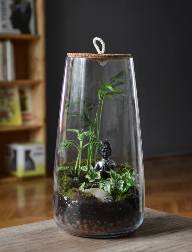How to Make a Terrarium in 8 Easy Steps
