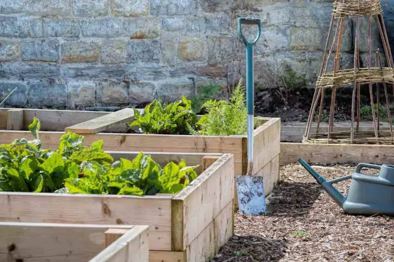 Raised Bed Gardening for Beginners: A Comprehensive Guide