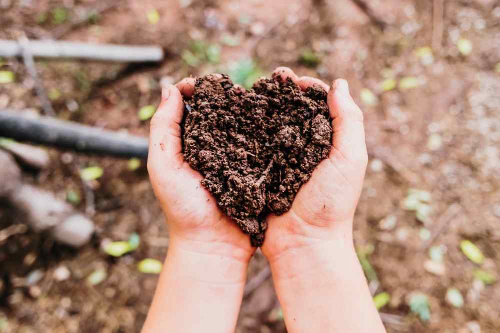 How To Keep Soil Moist