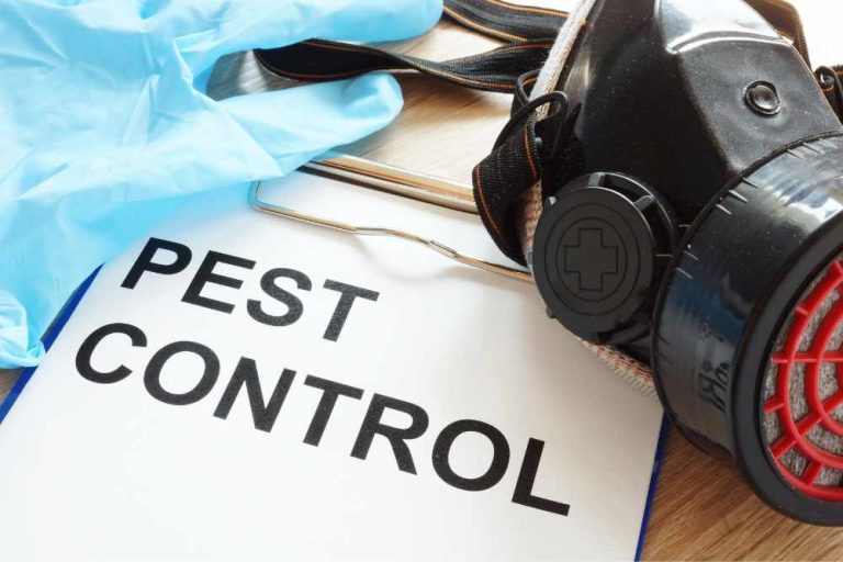 10 Best Organic Pest Control Companies