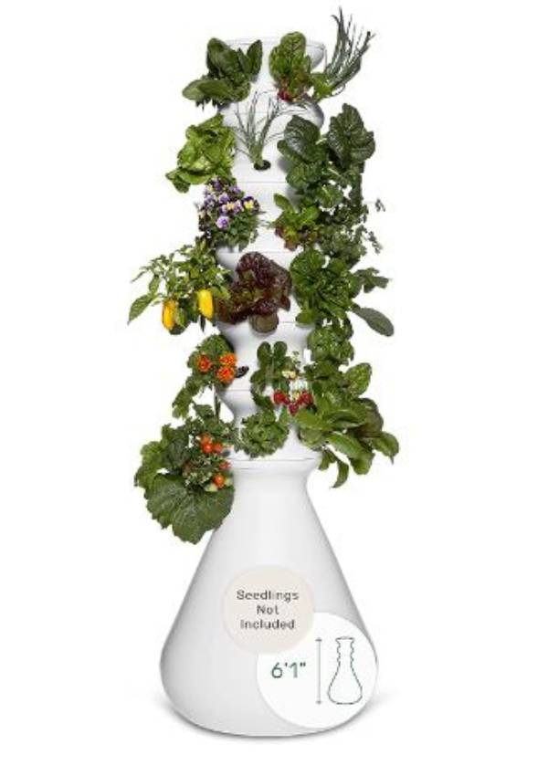 Lettuce Grow Farmstand 36-Plant Hydroponic System