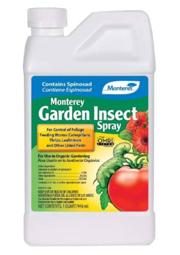 Eco Friendly Pest Control Products