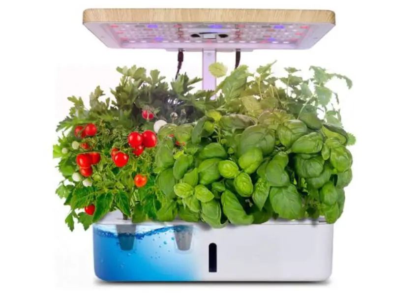 Best Hydroponic fertilizer for Vegetables