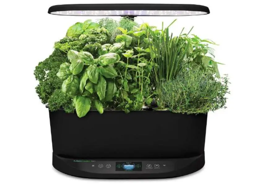 Best Home Vegetable growing Systems