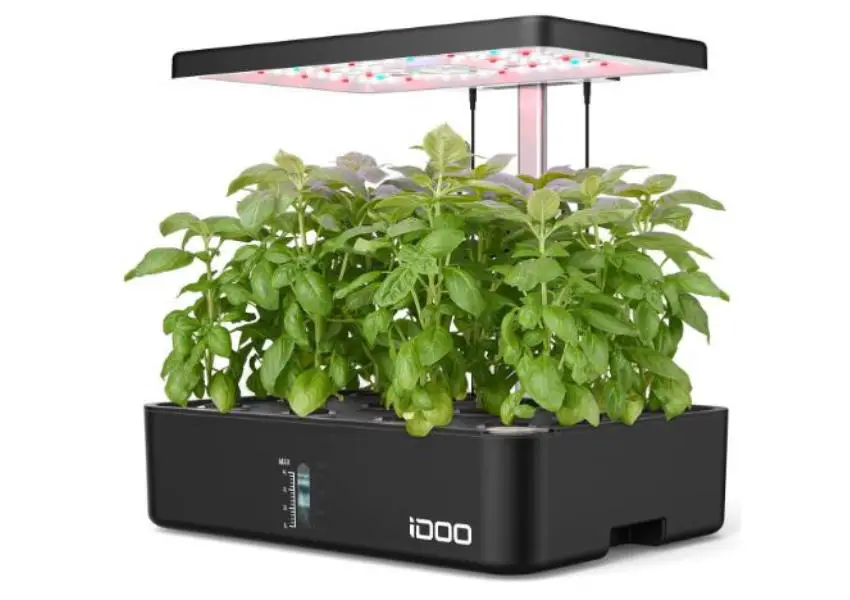 Home Vegetable Growing Systems 2023