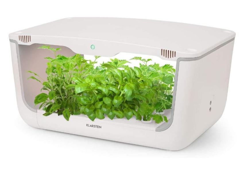 Home Vegetable Growing Systems 2023