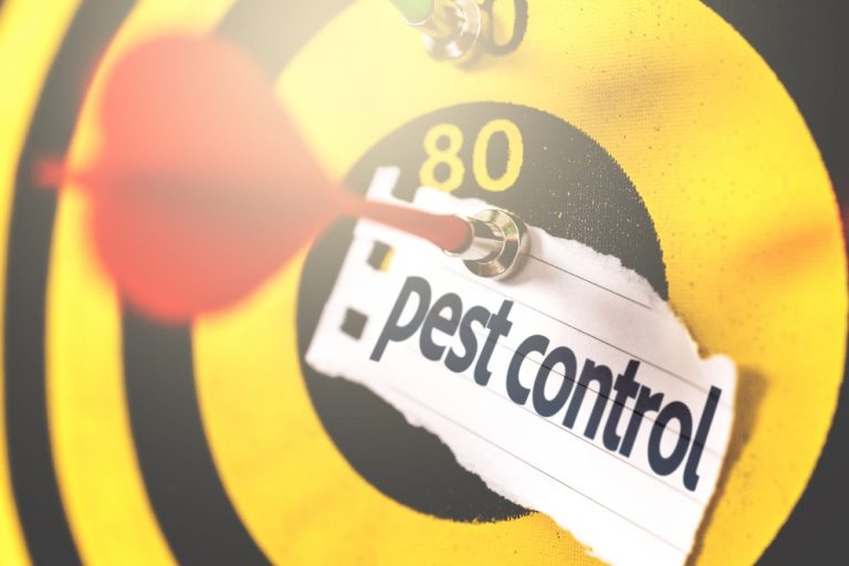 ECO FRIENDLY PEST CONTROL PRODUCTS & METHODS