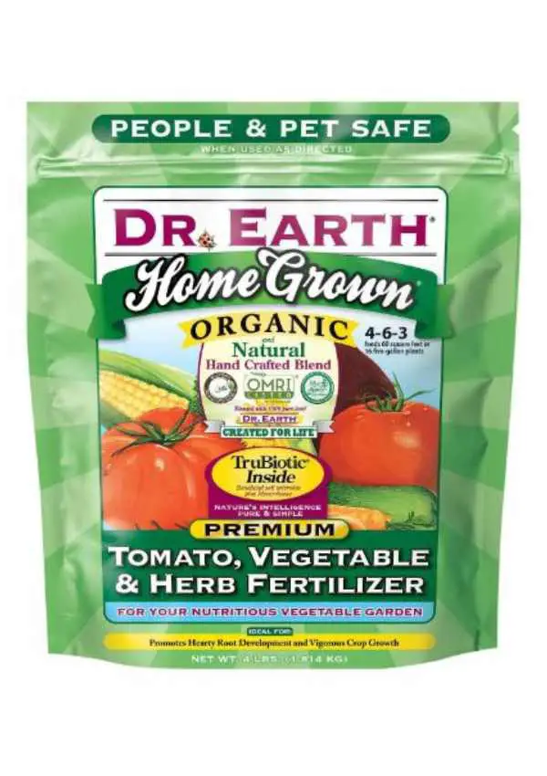Best Fertilizer For Tomatoes And Cucumbers