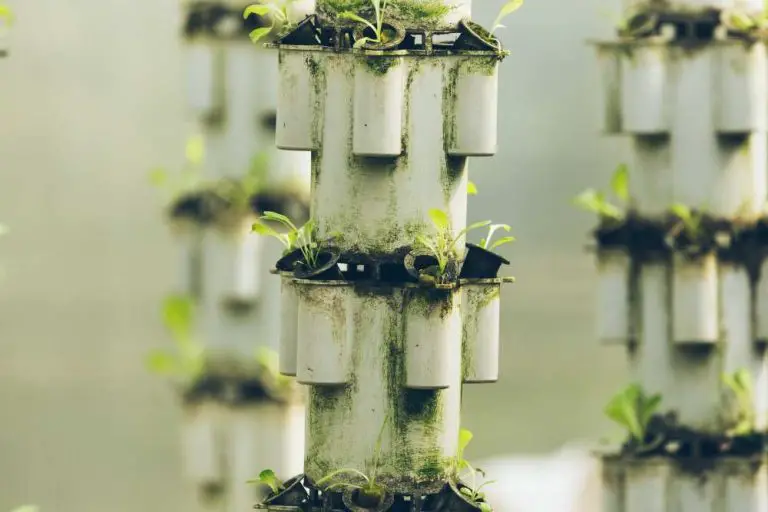 14 BEST HYDROPONIC TOWER SYSTEM 2023