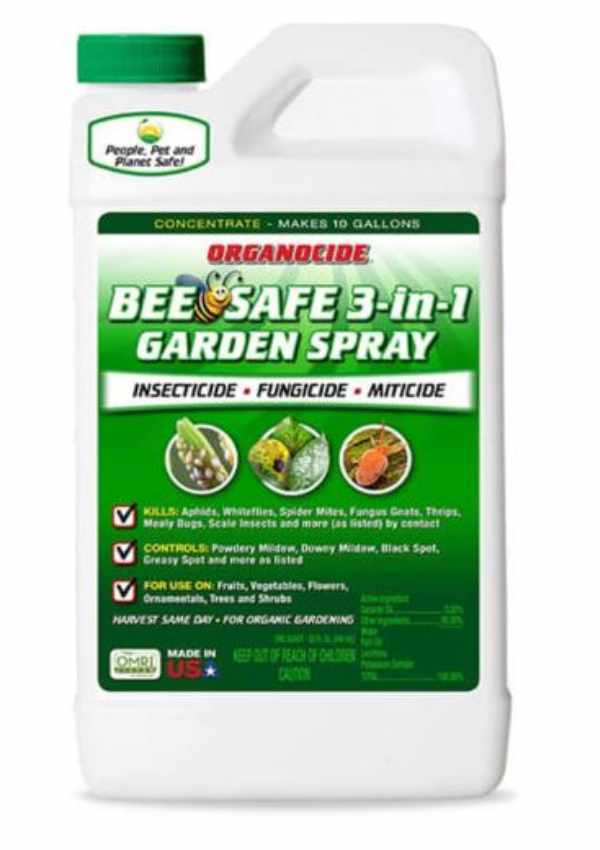 Best Organic Pesticide For Vegetable Garden