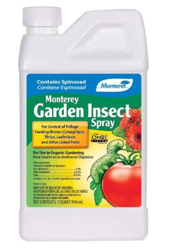 Best Organic Pesticide For Vegetable Garden