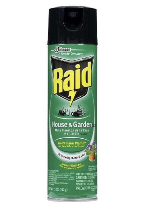Best Pest Control Products For Home