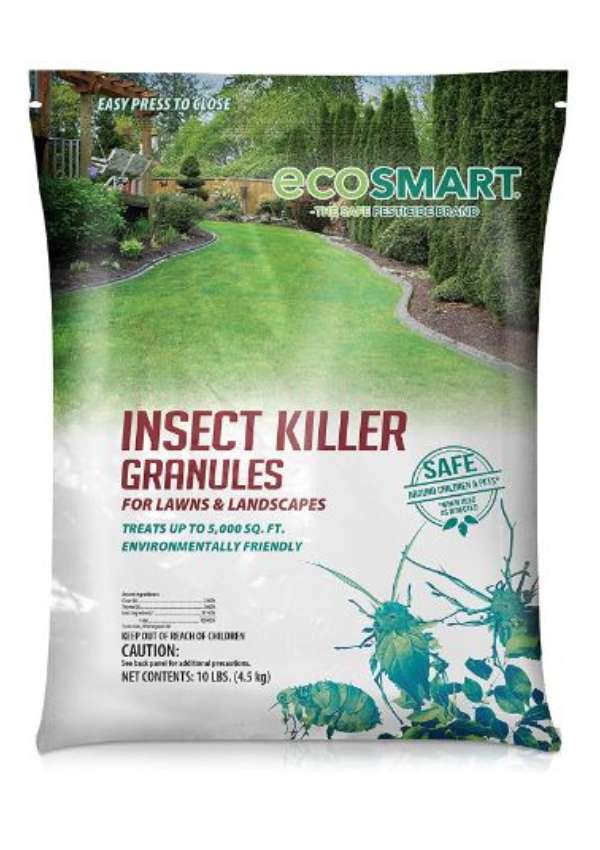 Best Pest Control Products For Home