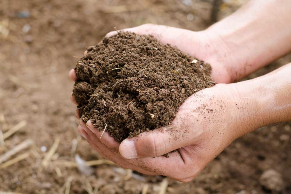 Nitrogen Rich Organic Fertilizer