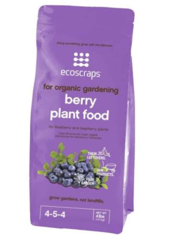 best fertilizer for blacKberries