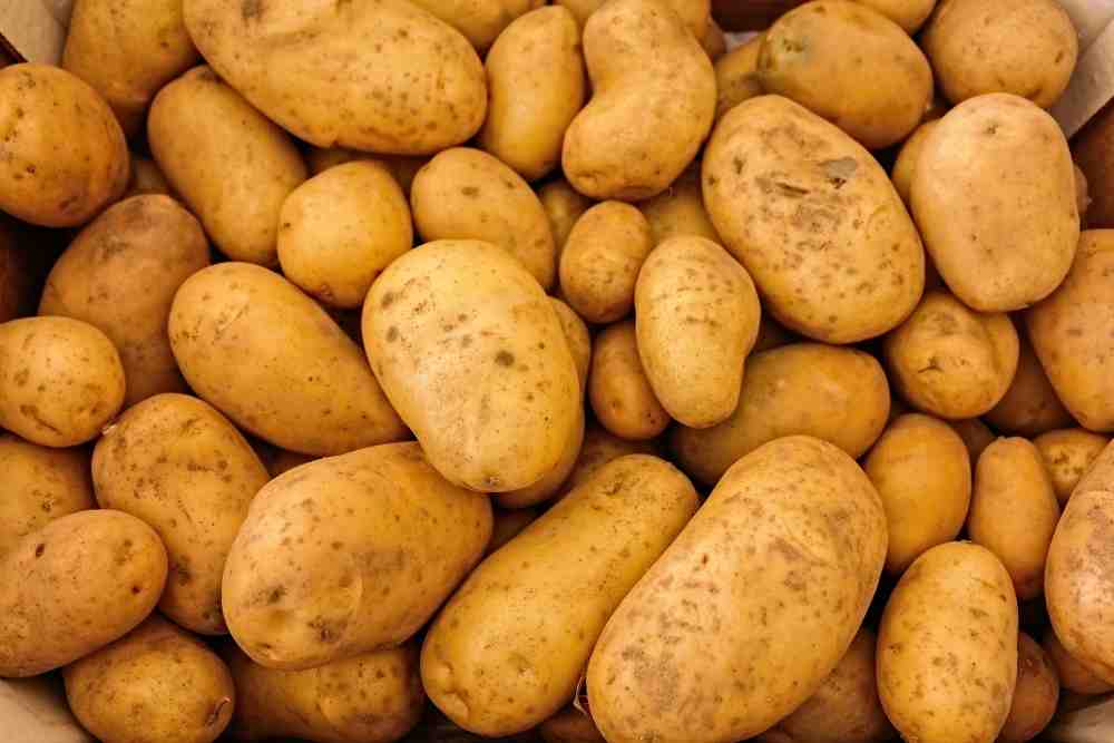 5 Examples Of Tuber Crops