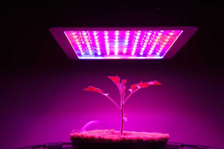 Discovering the Best LED Light For 4×4 Grow Tent