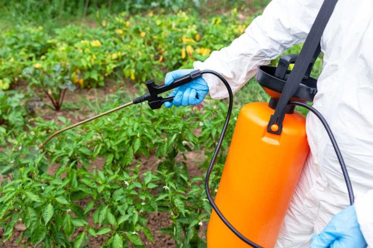 Choosing the Best Liquid Fertilizer for Vegetables to Boost Your Harvest