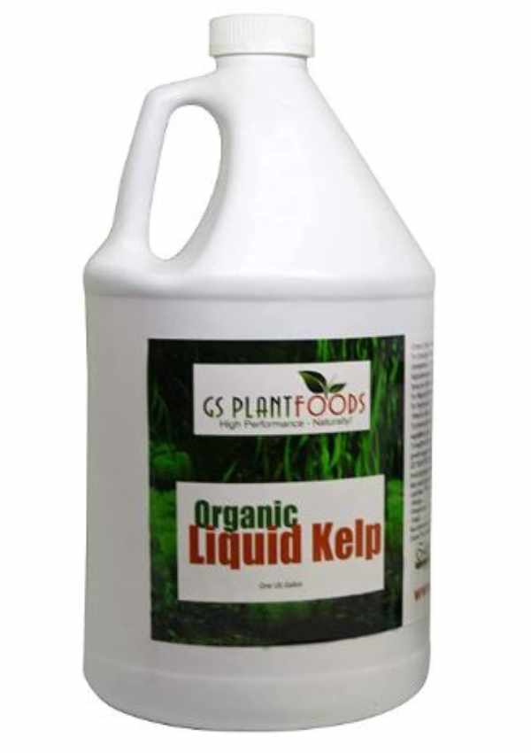 Best Liquid Fertilizer For Vegetables