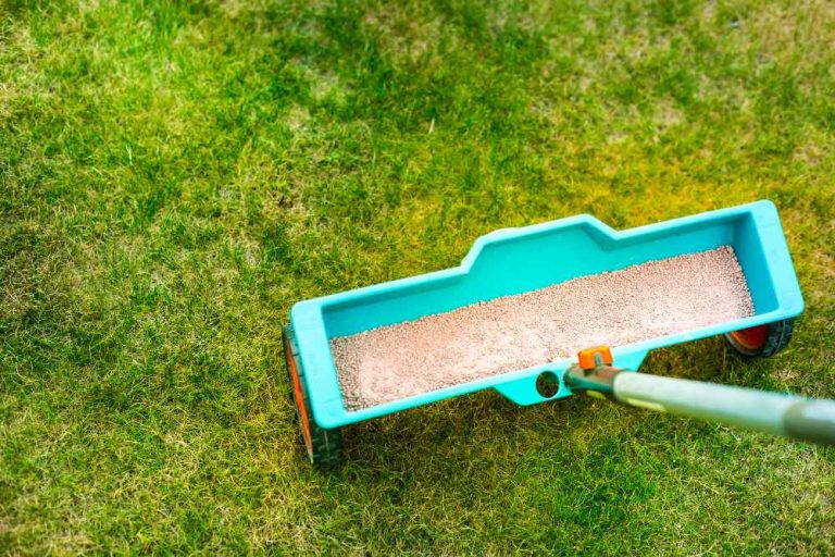 6 Best Quick Release Fertilizer For Lawns: A Comprehensive Guide
