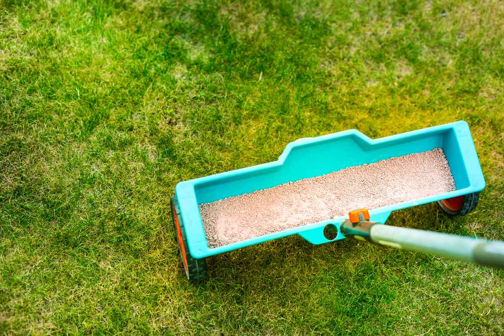 Best Quick Release Fertilizer For Lawns
