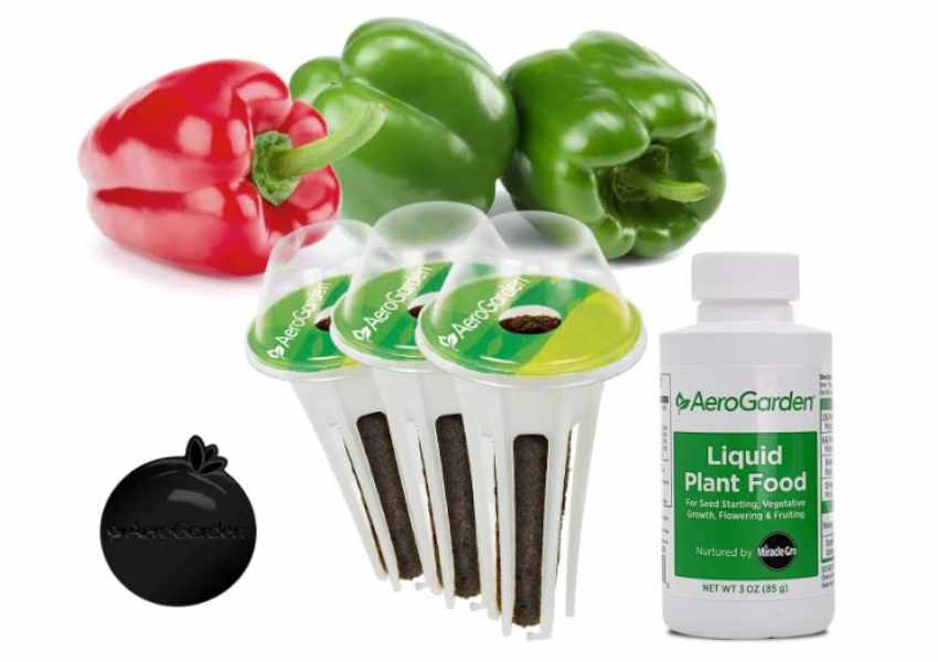 Best Things To Grow In AeroGarden