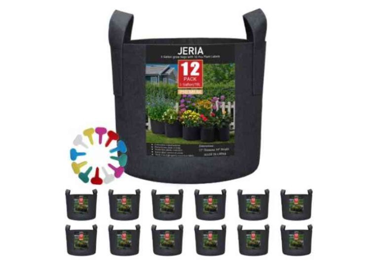 Complete Guide to Growing Strawberries in Grow Bags