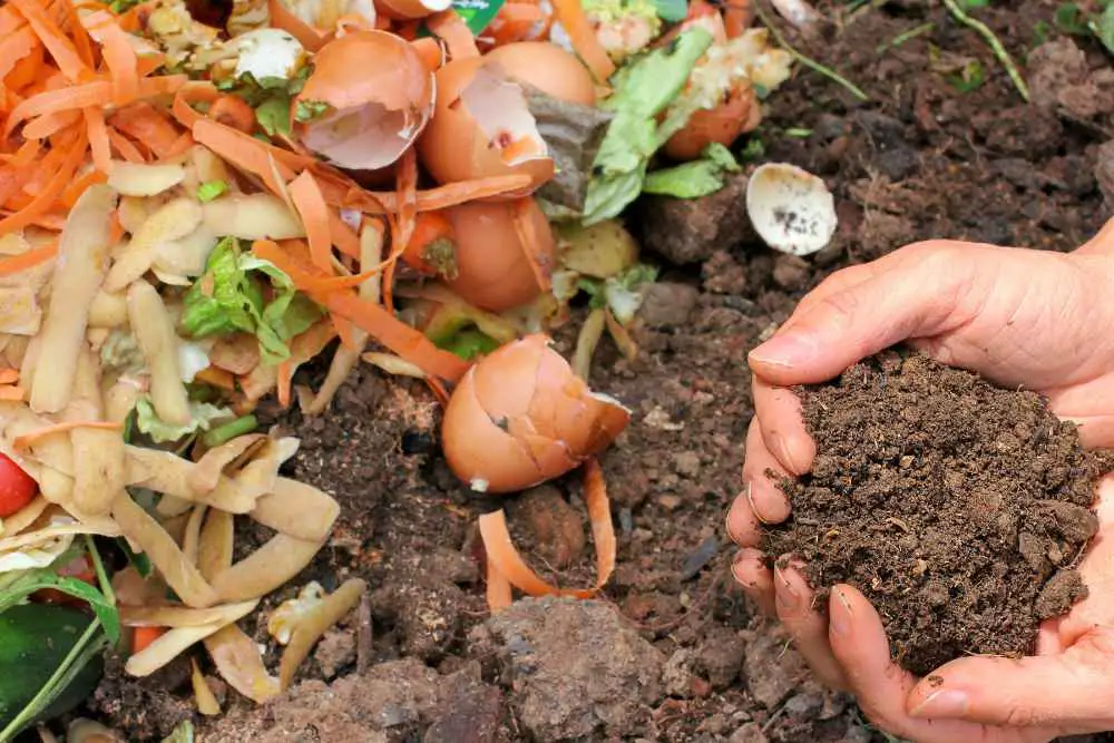 How To Make Soil Fertile Naturally