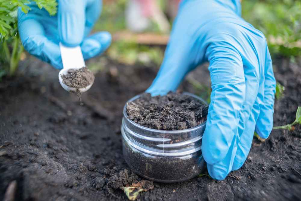 Why Does Your Garden Need Tested Soil