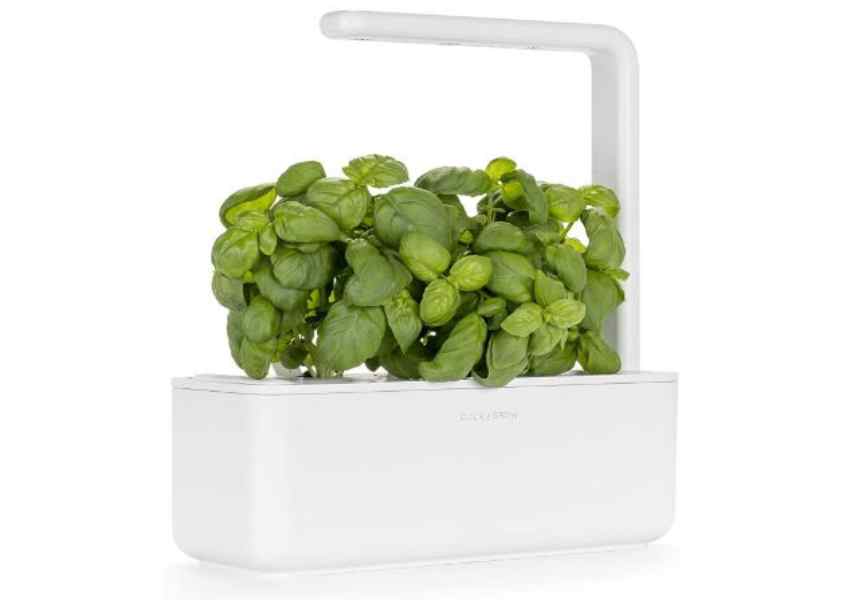 Cheapest Hydroponic System 2023