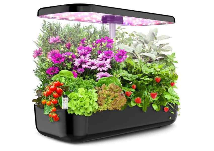 Cheapest Hydroponic System 2023