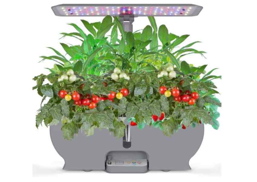 Cheapest Hydroponic System
