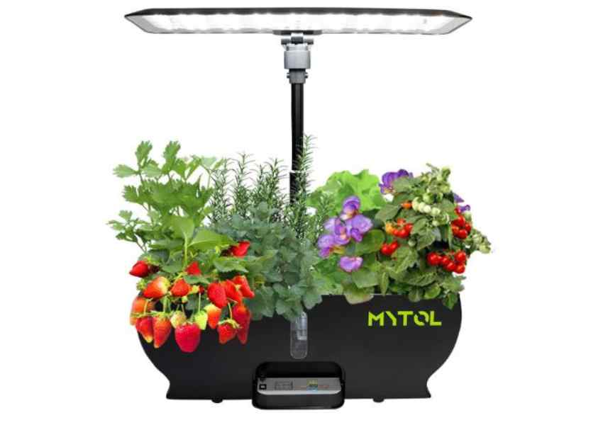 Cheapest Hydroponic System 2023