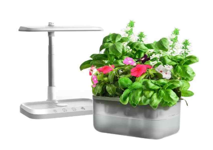 Cheapest Hydroponic System 2023