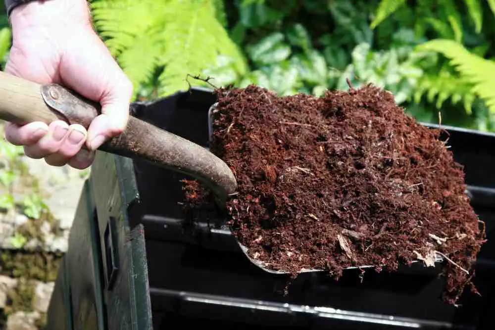 Soil For Raised Bed Gardening