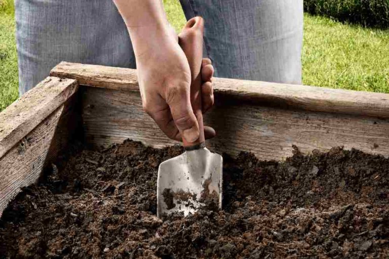 Best Soil for Raised Bed Gardening: Ultimate Guide