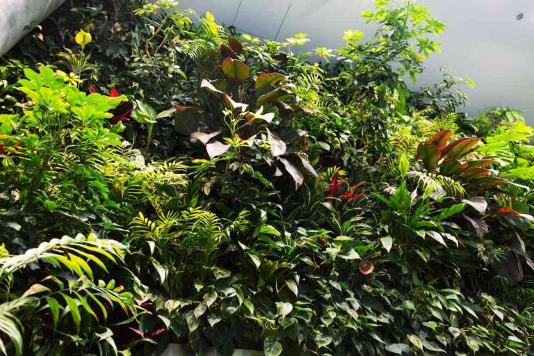 14 Best Plants For Indoor Vertical Garden: Greening Up Your Space