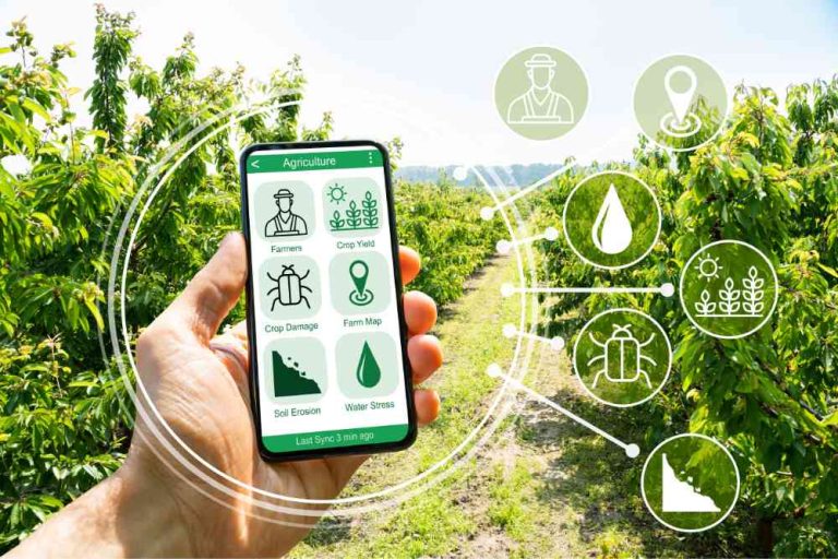 Future Of Agriculture How Innovation Is Transforming The Industry