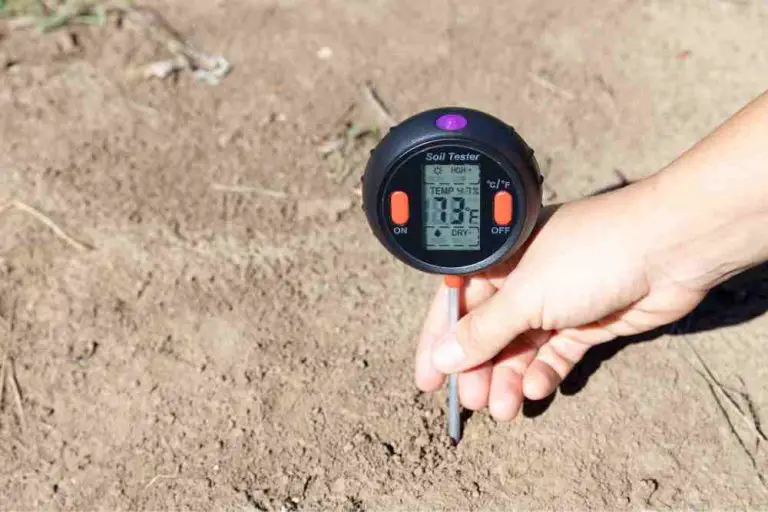 What Is Soil Temperature In Agriculture - Life and Agri