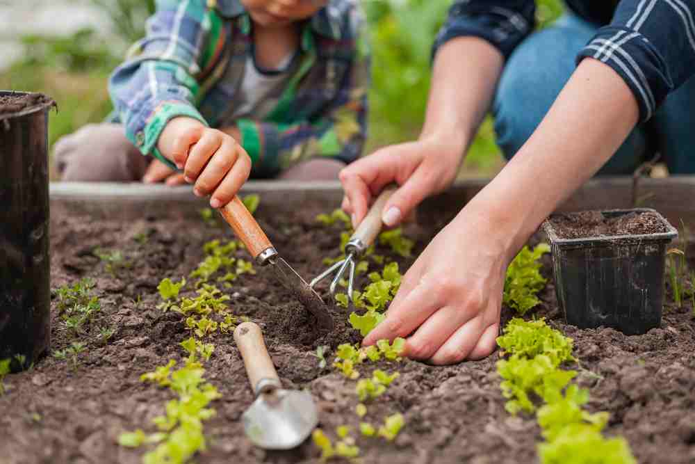What Is Soil Temperature In Agriculture