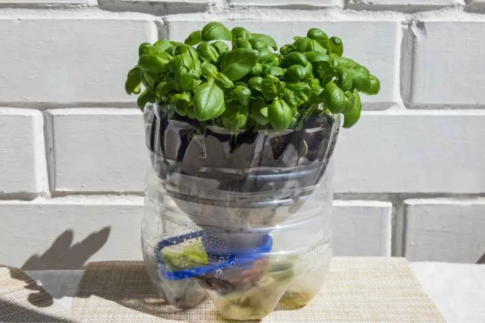 DIY Automatic Watering System For Indoor Plants