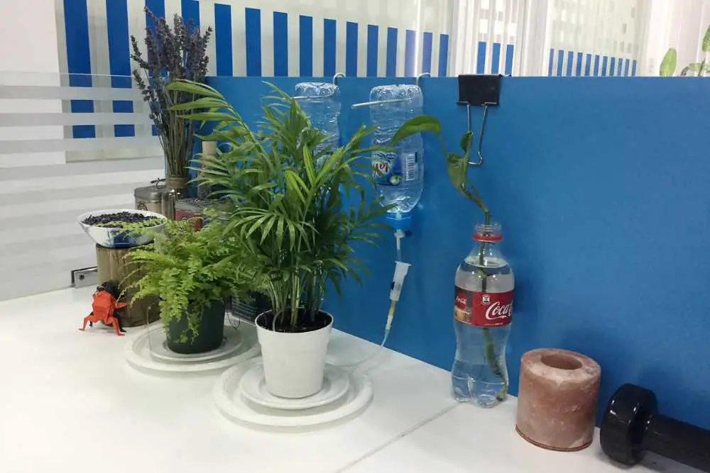 DIY Automatic Watering System For Indoor Plants