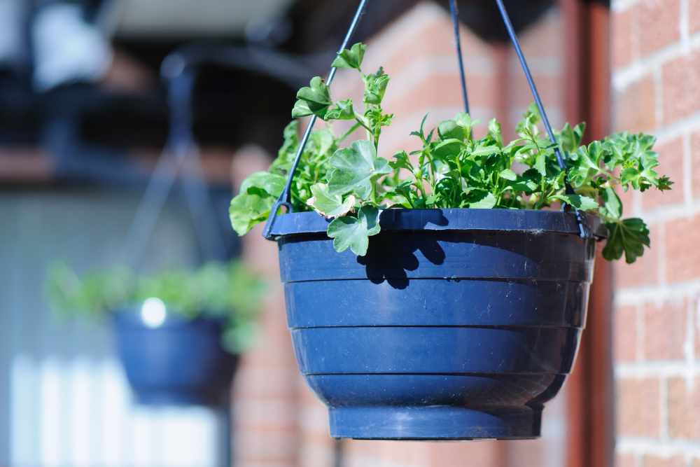 Creative Container Gardening Ideas For Small Spaces