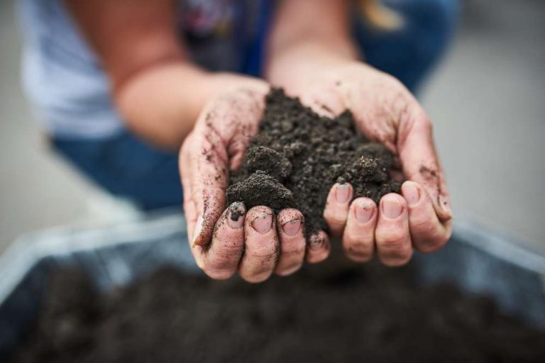 The Ultimate Guide To How to Break Down Clay Soil Fast