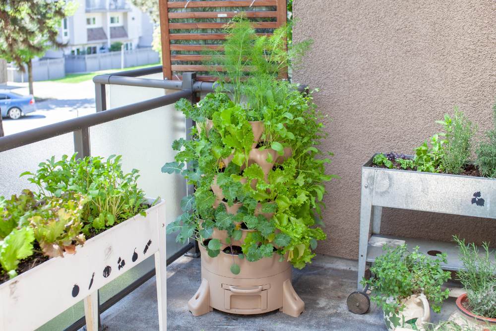 Container Gardening Ideas For Small Spaces