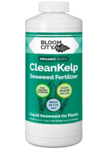 Bloom City CleanKelp Fertilizer 